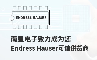 ��Ϊ���м�ֵ��Endress Hauser������
